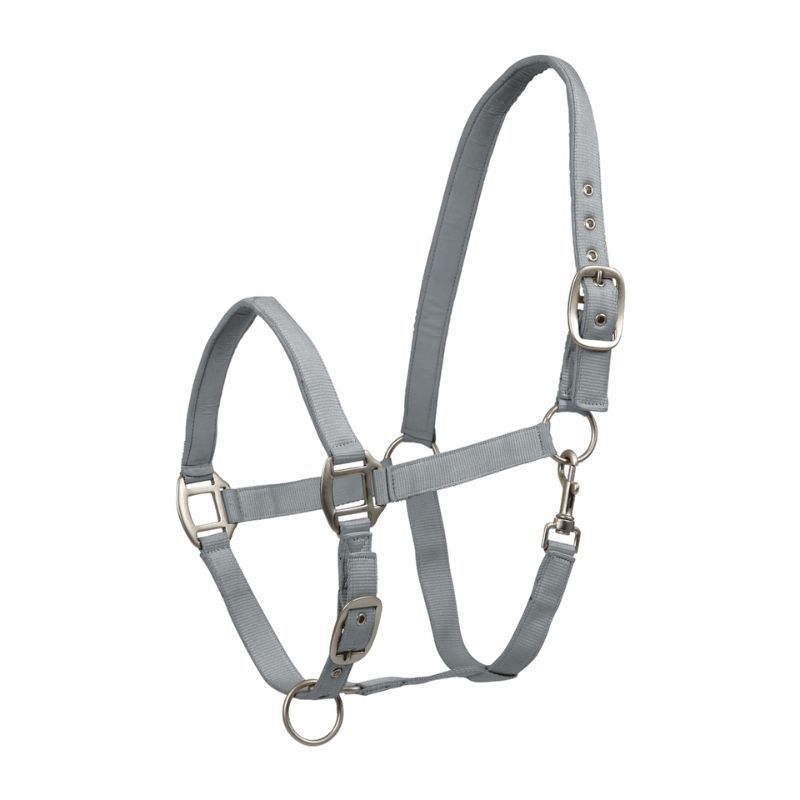 Licol cheval nylon doublé Satin Waldhausen gris chrome - Le Paturon