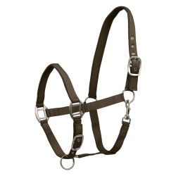 Licol cheval nylon doublé Satin Waldhausen brun vert - Le Paturon