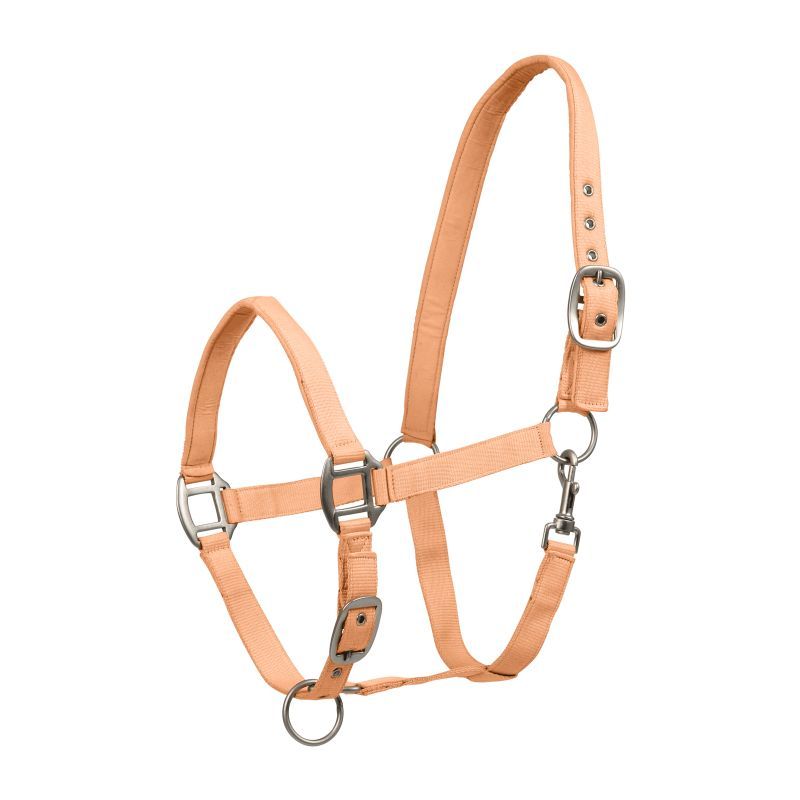 Licol cheval nylon doublé Satin Waldhausen pêche - Le Paturon