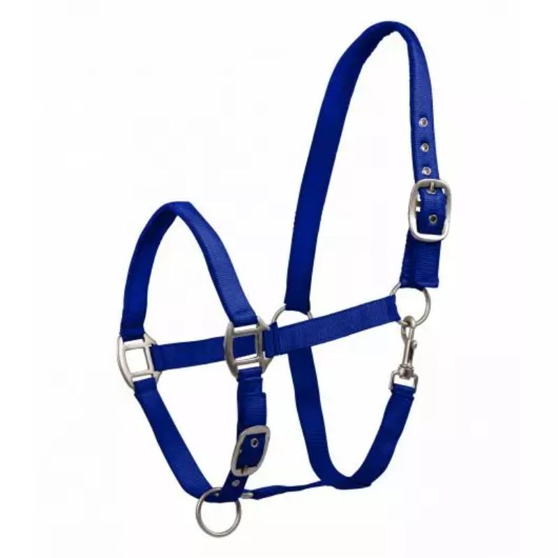 Licol cheval nylon doublé Satin Waldhausen bleu saphir - Le Paturon