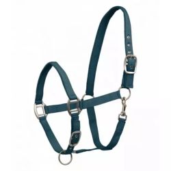 Licol cheval nylon doublé Satin Waldhausen bleu pétrole - Le Paturon