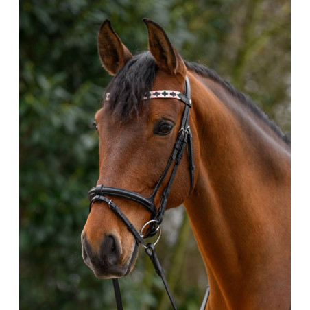 Frontal bridon cheval X-line Polo Waldhausen - Le Paturon