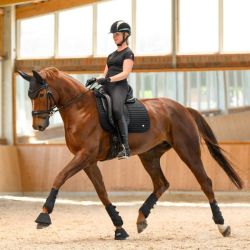 Bonnet anti-mouche cheval Performance Waldhausen noir - Le Paturon