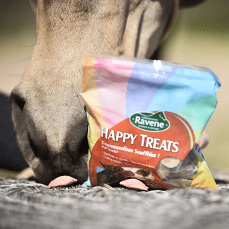 Happy treats duo Ravene - Friandises cheval 200g - Le Paturon