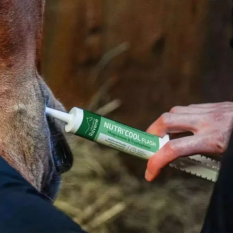 Nutri'cool flash Ravene - Stress cheval seringue 30ml - Le Paturon