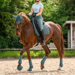 Cloches cheval Performance Waldhausen vert pin - Le Paturon