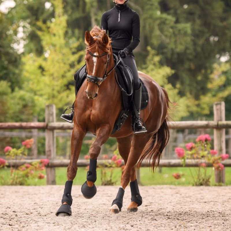 Cloches cheval Performance Waldhausen noir - Le Paturon
