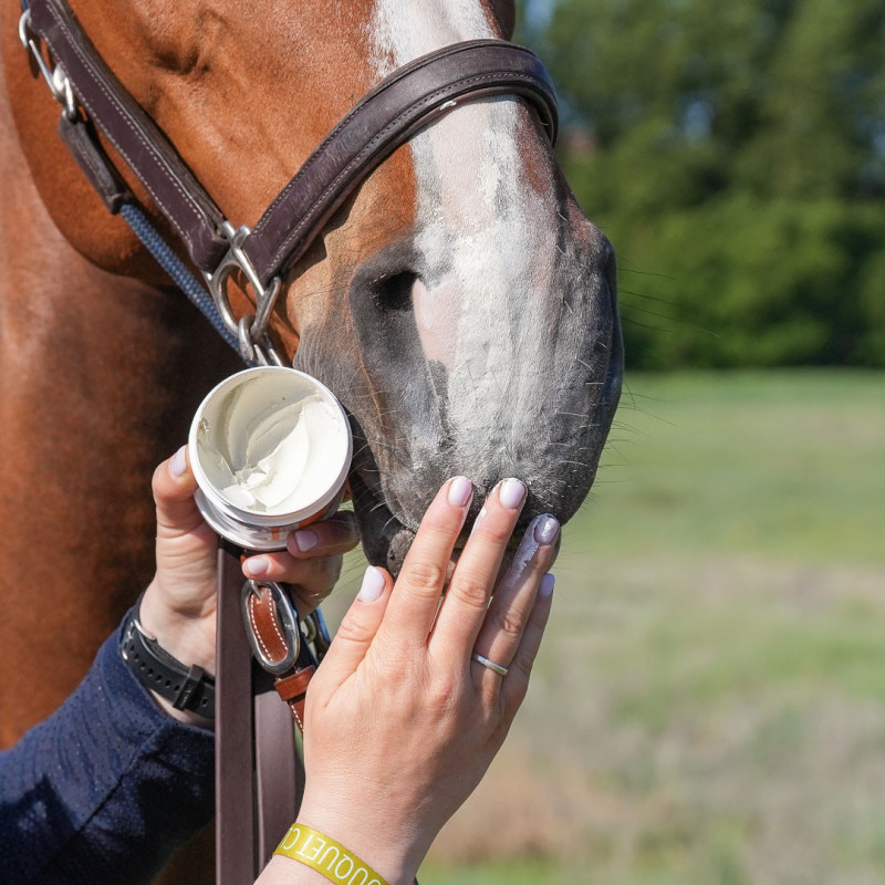 Crème solaire cheval Natural Sun - Natural Innov - Le Paturon