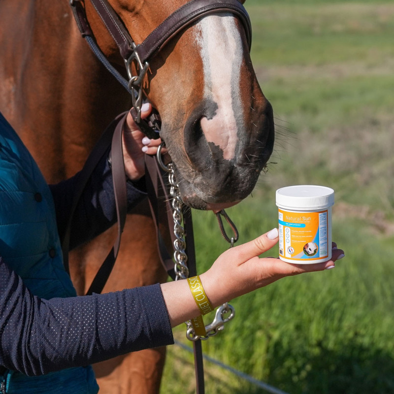 Crème solaire cheval Natural Sun - Natural Innov - Le Paturon
