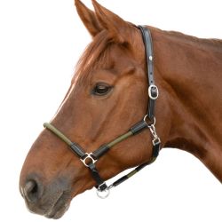 Licol cheval Waldhausen cuir corde Nevada noir vert - Le Paturon
