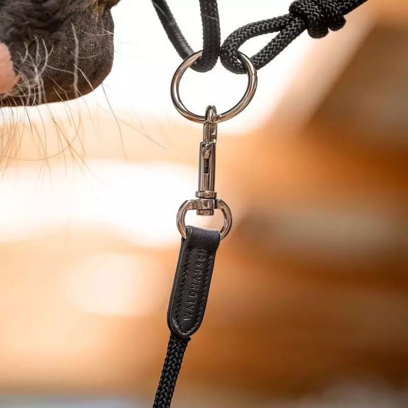 Longe cheval éthologique 4m Waldhausen noir - Le Paturon