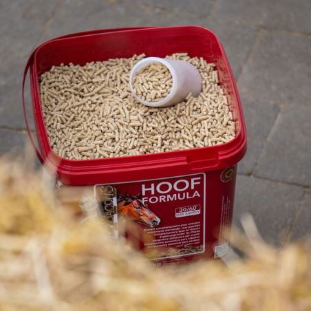Hoof Formula Kevin Bacon's - Biotine cheval granulés - Le Paturon