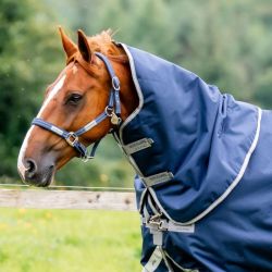 Couvre-cou cheval imperméable Amigo 1200D 0g Horseware marine gris