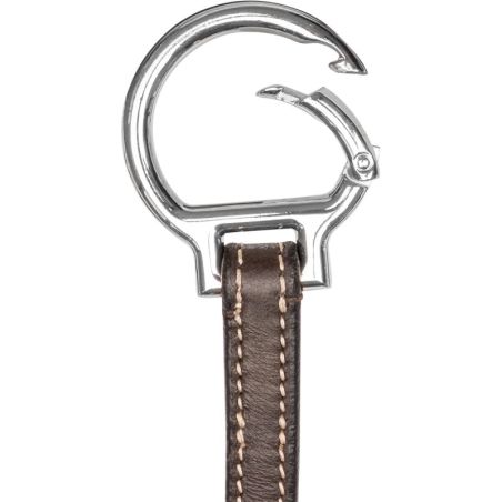 Collier de chasse cheval avec martingale Work Waldhausen brun