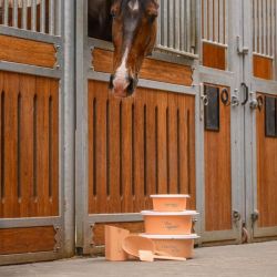 Cuillère/pelle mash cheval Waldhausen pêche