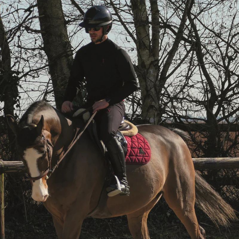Pantalon équitation homme Entraînement Physio Ara Aravolte noir