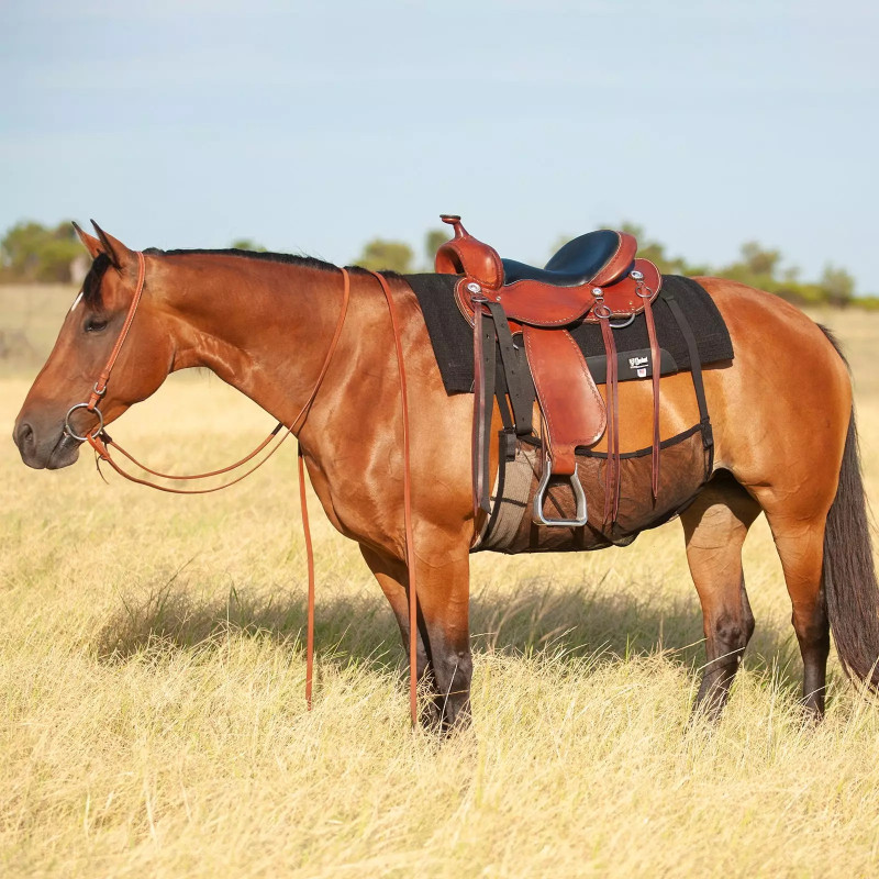 Protection ventrale anti-mouche cheval Quiet Ride Cashel