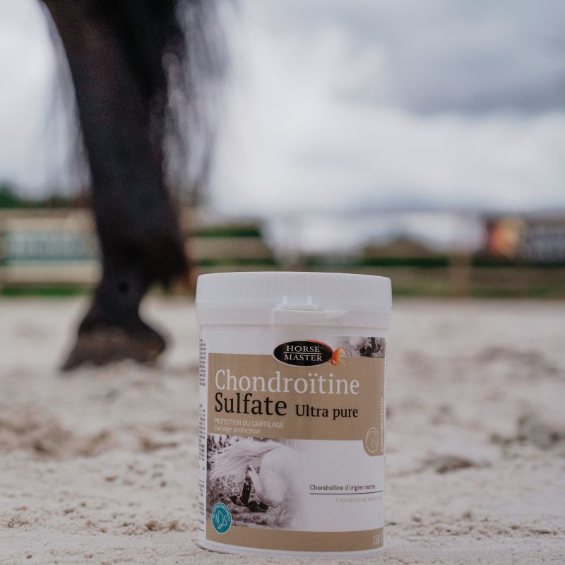 Chondroïtine Sulfate Ultra pure articulation cheval Horse Master 150g