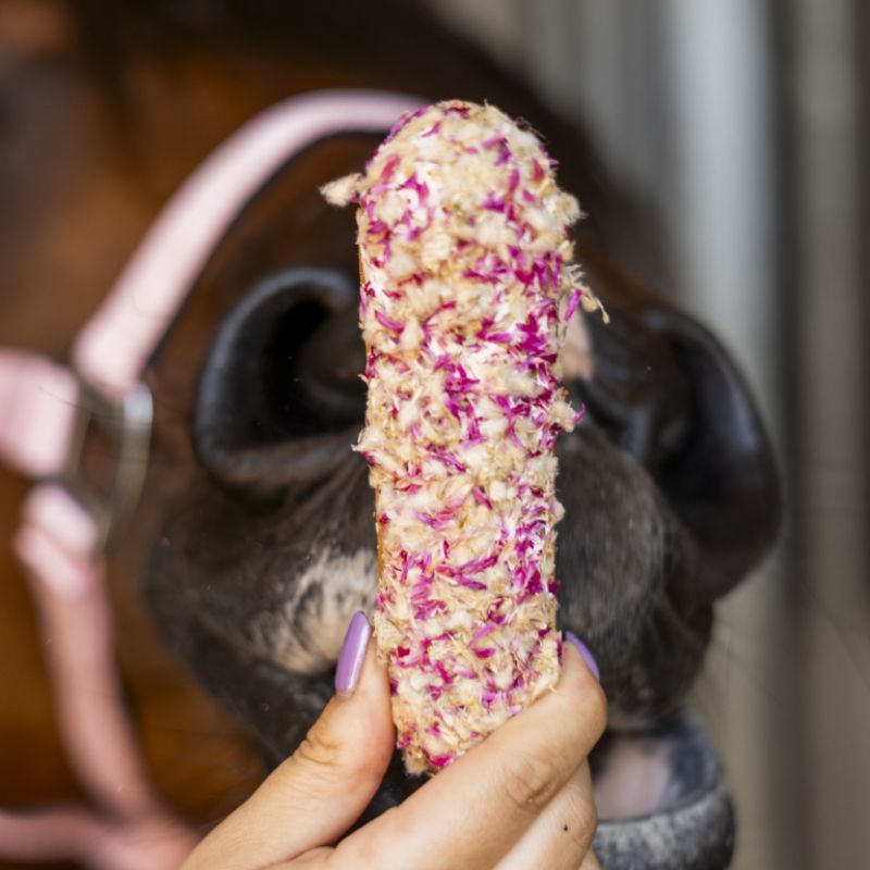 Eclair friandises cheval Globe Amaranth Rainbow World Candy Horse