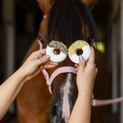 Donuts friandises cheval fleur de pois papillon et houblon Rainbow World Candy Horse lot de 2