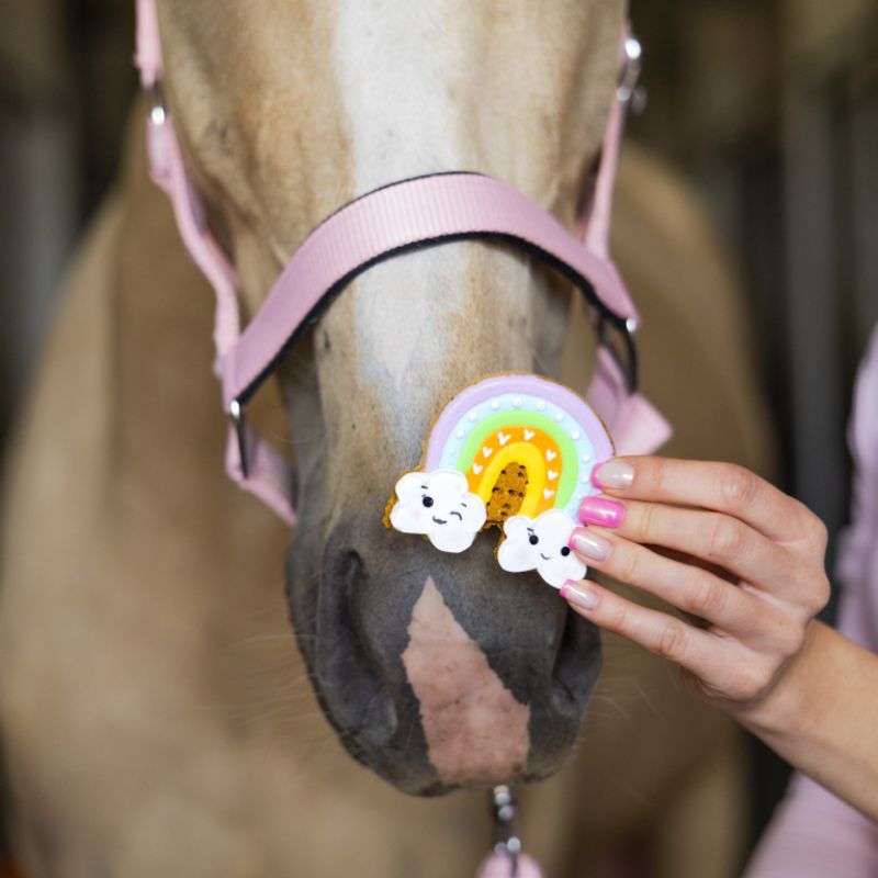 Biscuits glacés friandises cheval Rainbow World Candy Horse arc-en-ciel