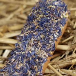 Éclair avec glaçage et herbes friandises cheval Candy Horse bleuet