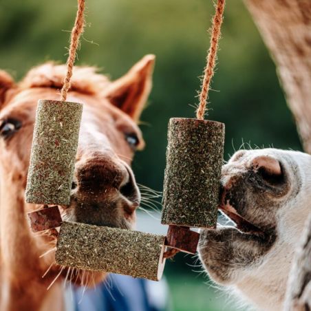 Bois à mâcher aux herbes jouet cheval Candy Horse calme