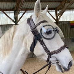 Lunettes cheval anti-UV 100% Equigoogs transparentes Equidiva