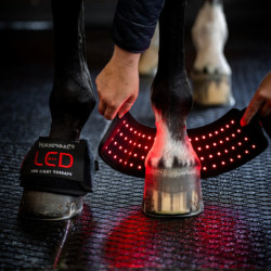Cloches cheval thérapeutiques Luminothérapie LED Horseware lot de 2
