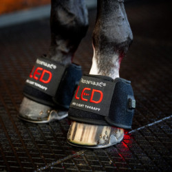 Cloches cheval thérapeutiques Luminothérapie LED Horseware lot de 2
