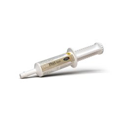 Dolophyt Flash Horse Master seringue locomotion cheval 30ml