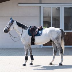 Tapis cheval Ten Obstacle GEM bleu orage