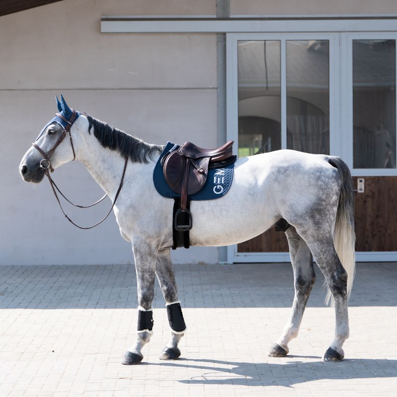 Tapis cheval Ten Obstacle GEM bleu orage