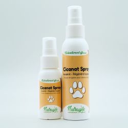 Cicanat spray chien et chat Nutragile