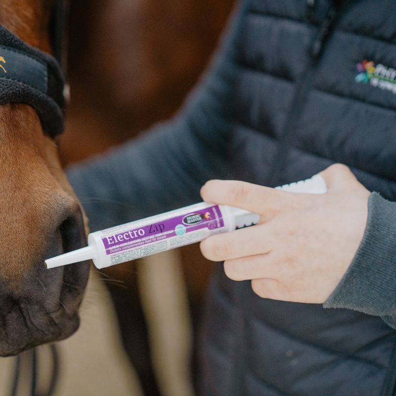 Electro-Zip Horse Master seringue électrolytes cheval 30ml