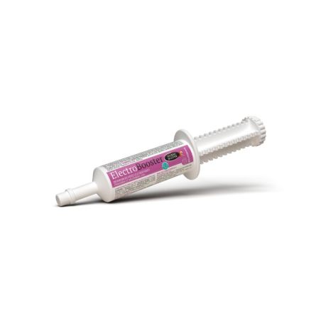 Electro Booster Horse Master seringue électrolytes cheval 30g