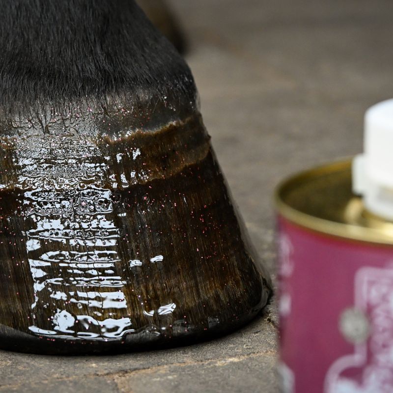 Liquid Hoof Dressing Glitter Rose Gold Edition Kevin Bacon's huile sabot cheval 500ml