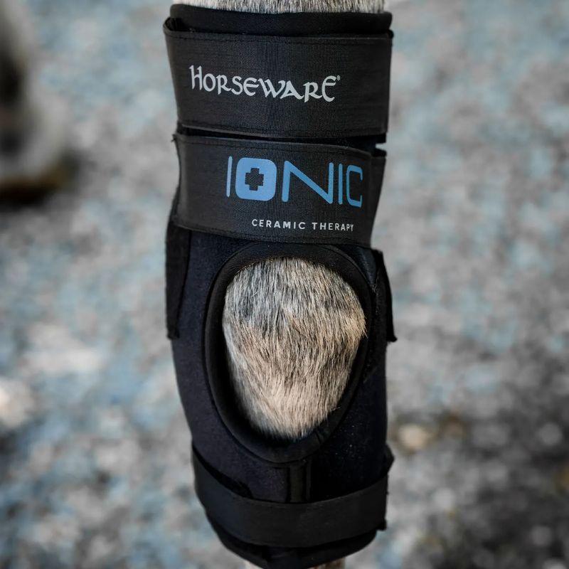 Protège-jarrets cheval thérapeutique Ionic Horseware lot de 2 noir