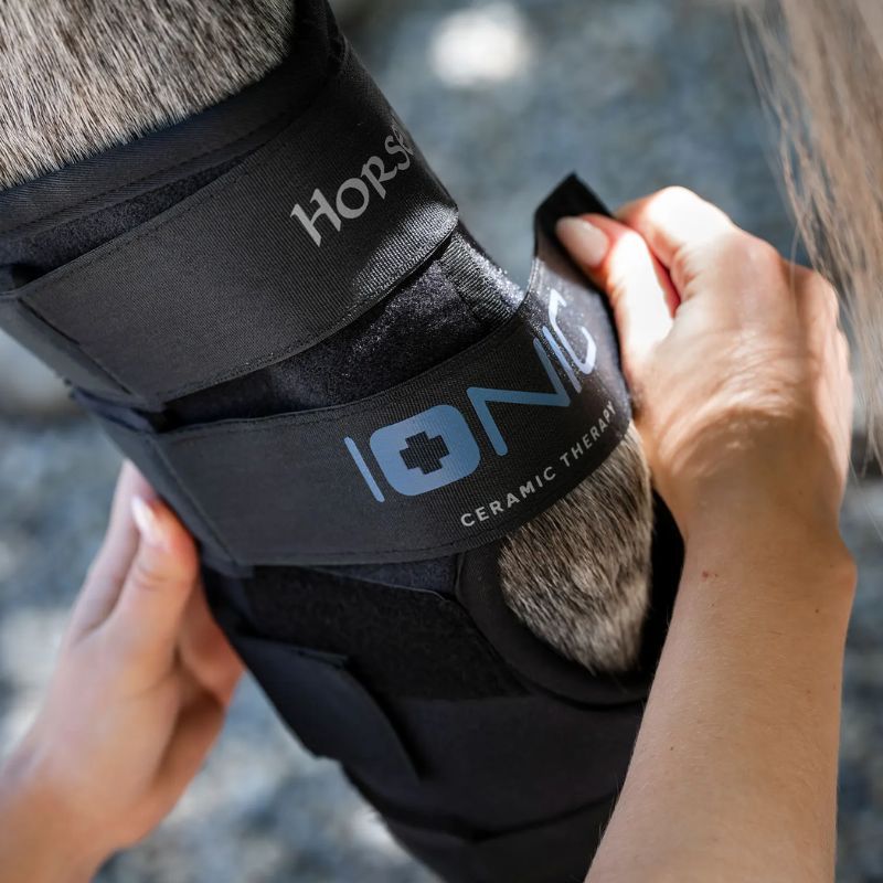 Protège-jarrets cheval thérapeutique Ionic Horseware lot de 2 noir