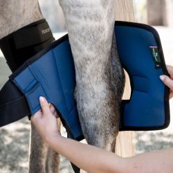 Protège-jarrets cheval thérapeutique Ionic Horseware lot de 2 noir