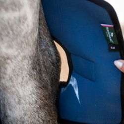 Protège-jarrets cheval thérapeutique Ionic Horseware lot de 2 noir