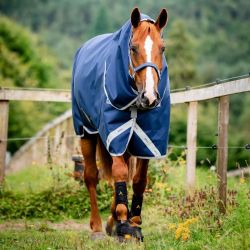 Couverture cheval extérieur Amigo Bravo 12 Plus 1200D 0g Horseware marine gris