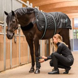 Couverture chauffante massante cheval Health + Care TecSupreme Waldhausen noir