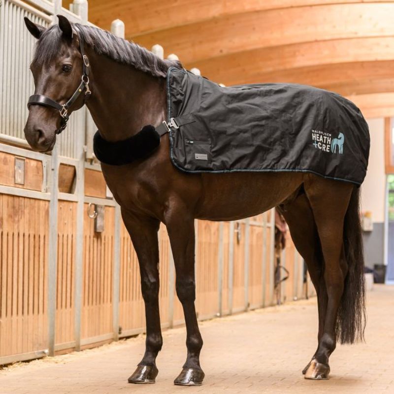 Couverture chauffante massante cheval Health + Care TecSupreme Waldhausen noir