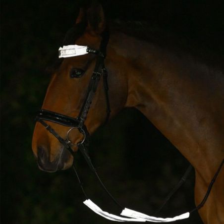 Set réfléchissant bridon cheval Reflex argent Waldhausen