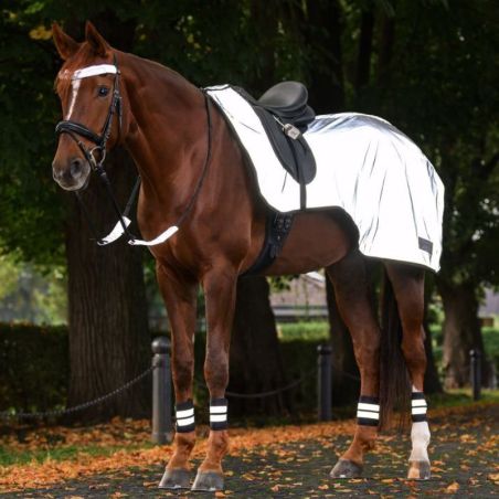 Set réfléchissant bridon cheval Reflex argent Waldhausen