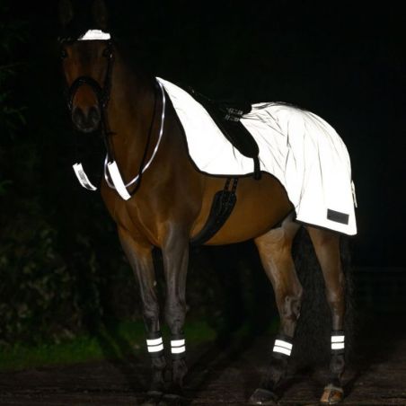 Set réfléchissant bridon cheval Reflex argent Waldhausen