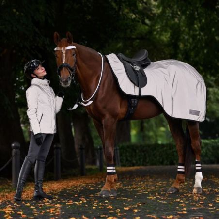 Set réfléchissant bridon cheval Reflex argent Waldhausen