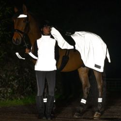 Set réfléchissant bridon cheval Reflex argent Waldhausen