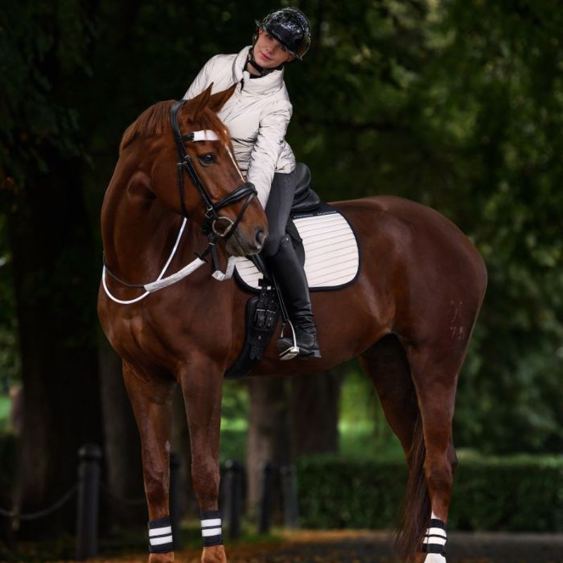 Set réfléchissant bridon cheval Reflex argent Waldhausen